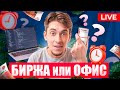 Веб-разработка в 2025: где деньги — на бирже или в офисе? Разбор с цифрами