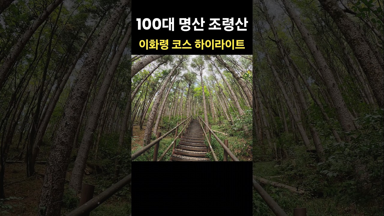 조령산 ⛰️ 이화령 코스 하이라이트 ❤️
