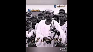الزمراوي ليل الكمال حاله 