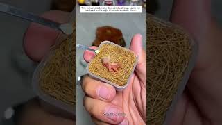 This woman accidentally discovered a strange egg in her backyard and brought it home to incubate.