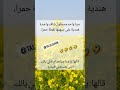 أجمل نكت مضحكة الجزء 8