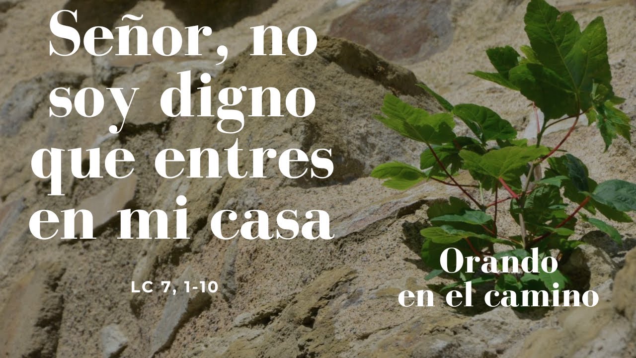 Señor, no soy digno que entres en mi casa [Lc 7, 1-10] - YouTube