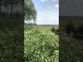 Видео от подписчика БЛАГОДАРНОСТЬ )