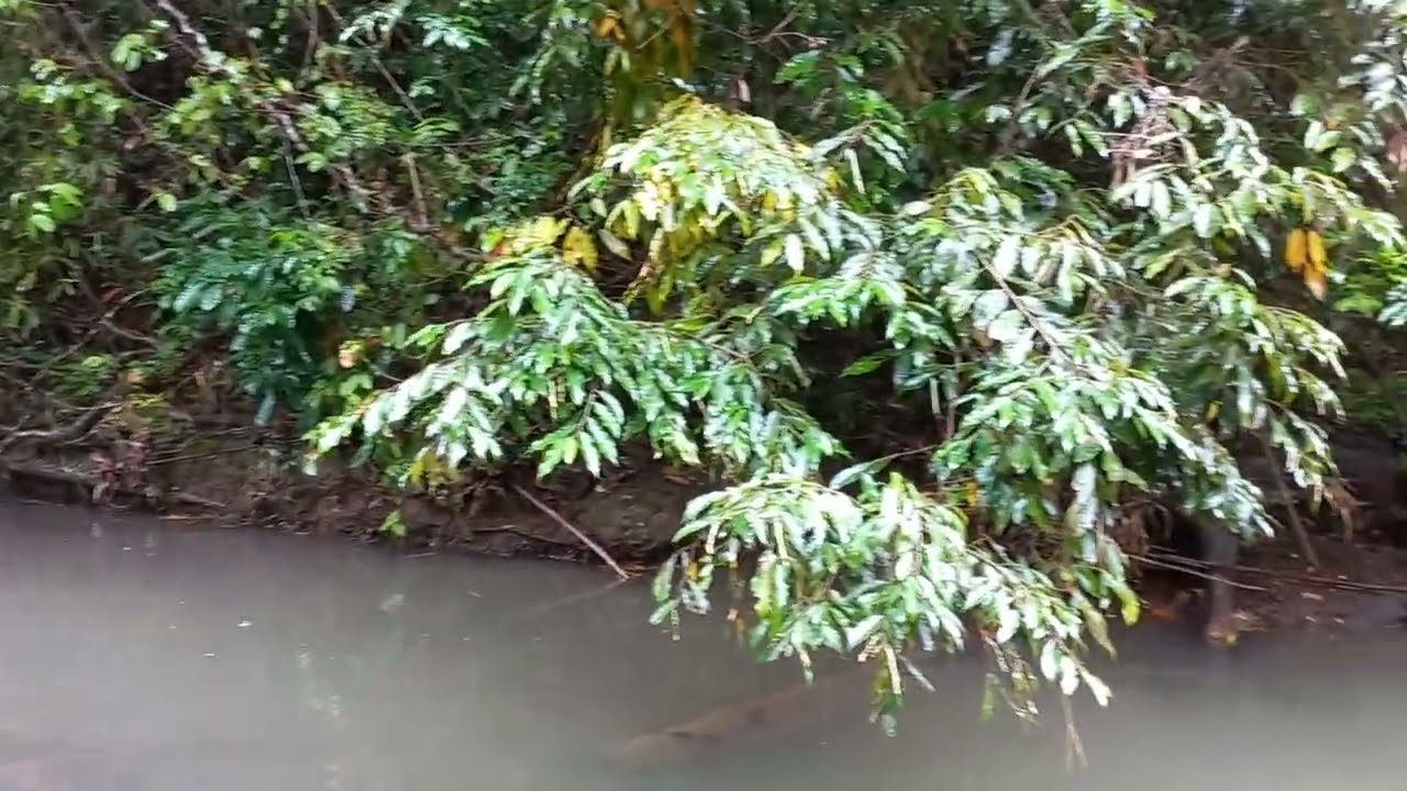 On the way to Bamboo Nala for family blessing 