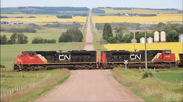 CN S713 - Unit Sulphur Loads Through The Blooming Canola - 2018.07.15