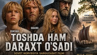 Toshda ham daraxt oʻsadi oʻzbekcha tarjima kino Toshda ham daraxt oʻsadi oʻzbekcha tarjima kino