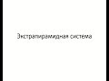 Андреев В.В. Экстрапирамидная система и координация движений.