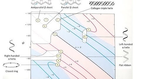 Ramachandran plot explanation and analysis