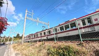 神戸電鉄5000系紅葉(5004, 5103,5104,5003)普通鈴蘭台行き