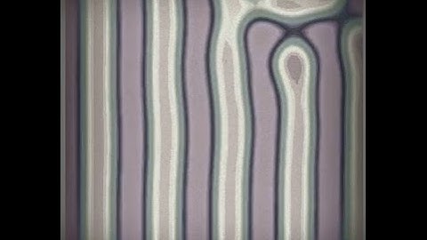 Numerical Simulation - diblock copolymers - Ohta Kawasaki functional