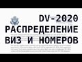 #189: Распределение виз и номеров в лотерее Грин Карт. DV Lottery GreenCard