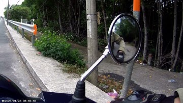 Đi đường Rừng Sác - Cần Giờ gặp được đàn khỉ con đang chơi bên vỉa hè