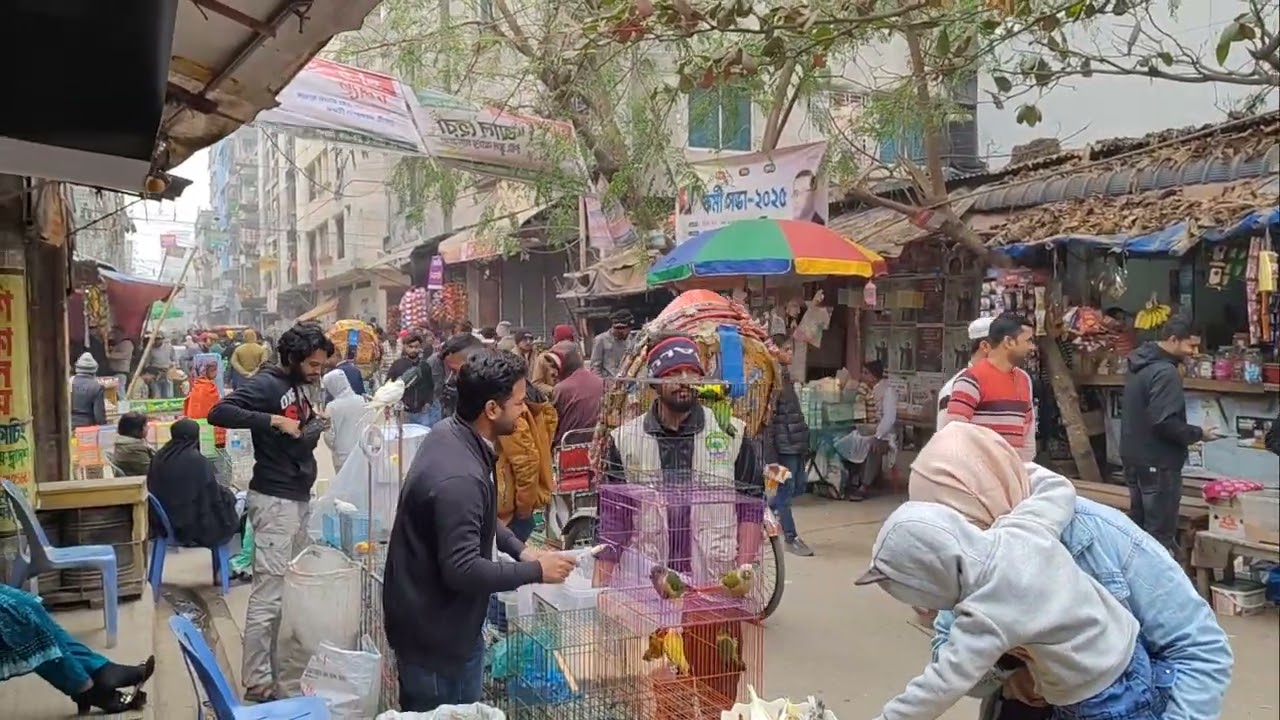 মিরপুর ১ পাখির হাট 