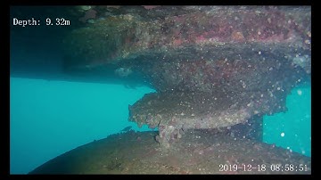 Propeller Inspection Fifish V6