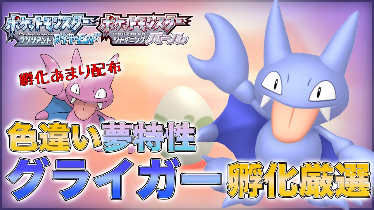 sp 色違い夢特性グライガー孵化厳選 孵化あまり配布 終 ポケモン Youtube