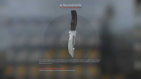 Knife #56: 20 Fracture Case Opening (LUCKY! See description!)