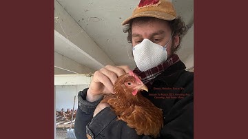 Zwabedzebelyebeledzweabe