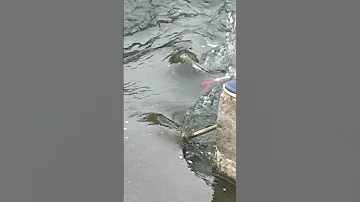 Измерение скорости потока реки