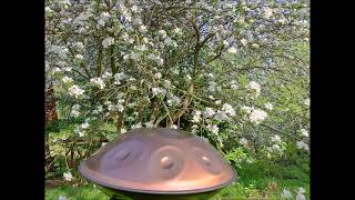 Handpan and nature part 2