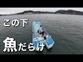 【アジサビキ、カワハギ】これで釣れなきゃ男がすたる!?特等席ボート釣り。