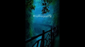 سورة الكافرون قل يا ايهاالكافرون