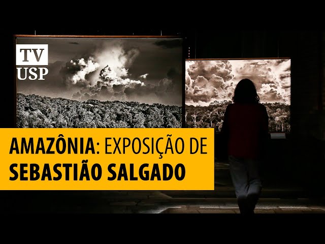 Nas imagens de Sebastião Salgado, a esperança de salvar a Amazônia