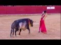 Matador killed in Spain bullfight
