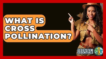 What Is Cross Pollination? - Ecosystem Essentials