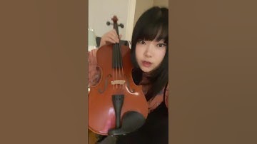 Money can’t buy happiness?? #viola #violin #classicalmusic