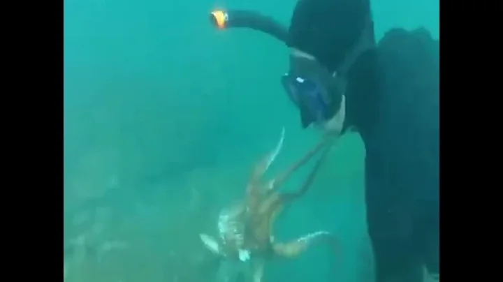 Amazing Diving skill Hunting Giant Octopus Underwater