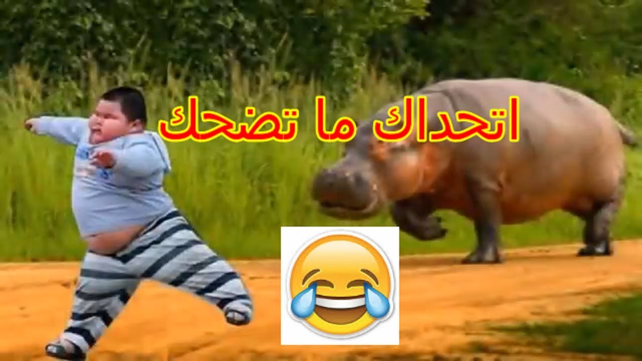 مقاطع مضحكه جدا جدا جدا 😂😂😂 تجميعة تحدي الضحك هتموت علي نفسك من الضحك