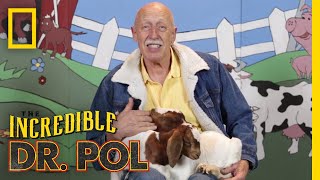 Kidding Around - Season 1, Episode 9 | Barnyard Babies with Dr. Pol