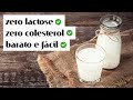 QUER PARAR DE TOMAR LEITE? Faça essa opção saudável, sem lactose!