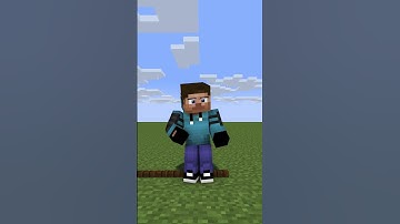 (Country) Mine-Imator Animation #shorts #minecraftshorts