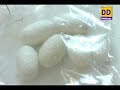 Scientific Silk Worm Rearing- 13/02/2021 @ 6.30pm