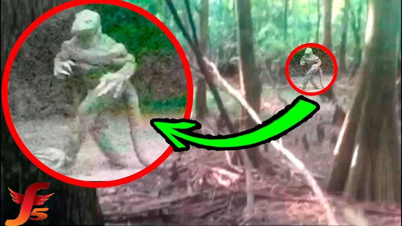 Top 5 Reptilians Caught On Camera & Spotted In Real Life - YouTube.