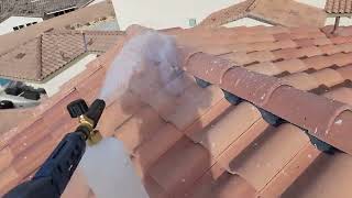 Keep Birds Off Your Roof Pigeons Hate This Spray When We Birdproof Our Customers Solar Panels by The Solar Panel Cleaning Channel 528 views 4 months ago 44 seconds