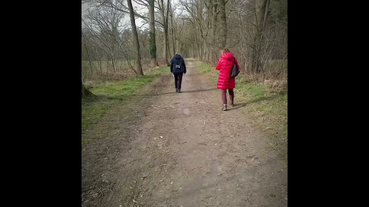 Geocache in de Bogten