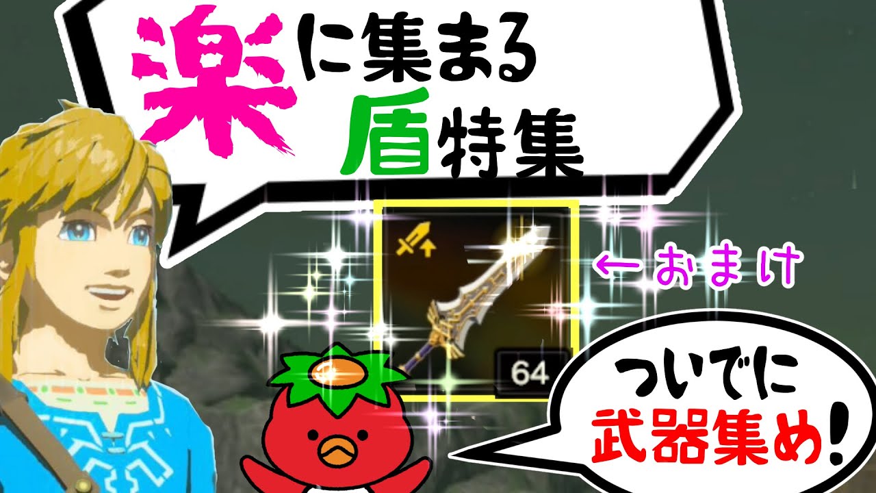 ゼルダの伝説ブレスオブザワイルドティアキンポケモン盾 ゼルダの伝説ブレスオブザワイルドティアキンポケモン盾 ゼルダ