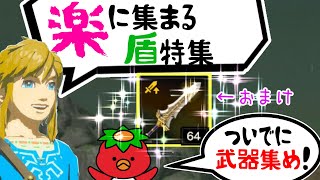 ゼルダの伝説ブレスオブザワイルドティアキンポケモン盾 ゼルダの伝説ブレスオブザワイルドティアキンポケモン盾 ゼルダ