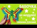 БАБОЧКА Из Модулей | Модульное Оригами | Мастер Класс