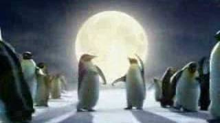 Coca cola Christmas Arctic Beach Party