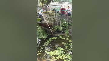 Câu cá xấu giải trí - Du lịch Hồ Núi Cốc