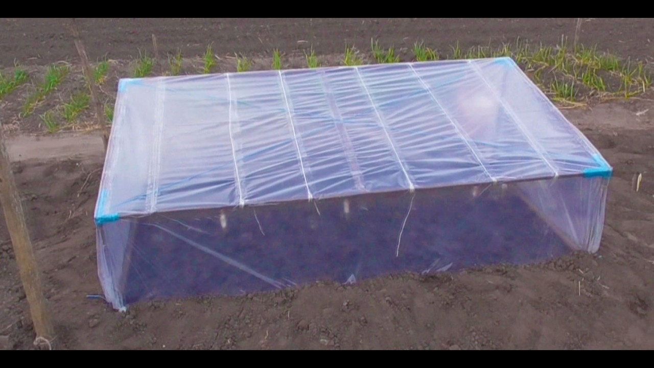 Парник для розсади – це легко! / Теплиця, чи парник, що краще? / Щоб не рвалася плівка на парнику.