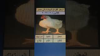 اسعار الفراخ البيضاء في مصر يوم الاثنين 4-12-2023