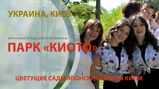 Парк «Киото»: Киев / Цветущие сады японских сакур / Виртуальный тур. Украина
