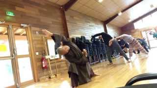 Qi Gong Exercises with Br. Phap Dung, Plum Village