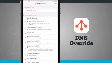 DNS Override iPhone App Demo