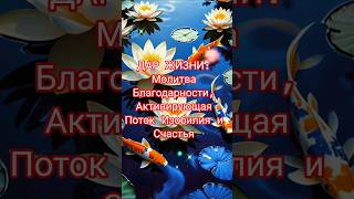 ✨ ДАР ЖИЗНИ: Молитва Благодарности, Активирующая Поток Изобилия и Счастья #shorts