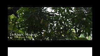 Pokemon - Sembah Taubat (official music video)